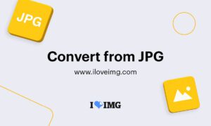 Free JPG to PNG Converter | Free Online Image Converter