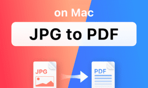 Free Image to PDF Converter | Free Online JPG to PDF Tool