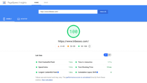 Page Speed Test – Free Website Speed Checker & Performance Analyzer | Alam Web Tools